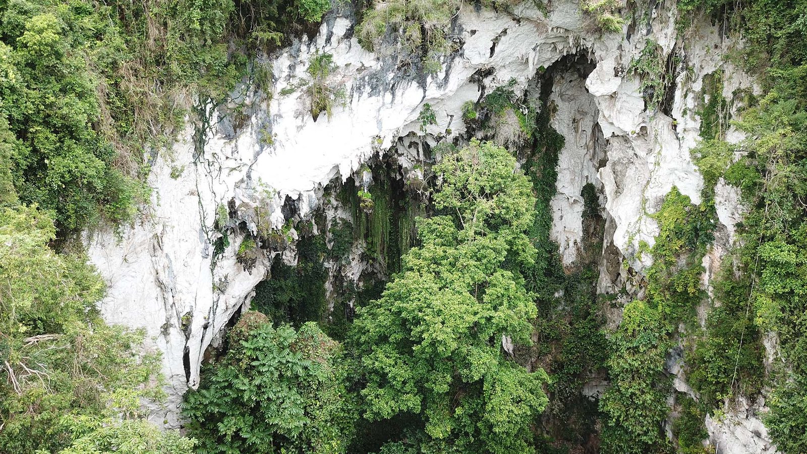 Selamatkan Wallacea: Industri Nikel Morowali Mengancam Kegagalan IBSAP, FOLU Net-Sink & Kunming–Montreal Global Biodiversity Framework